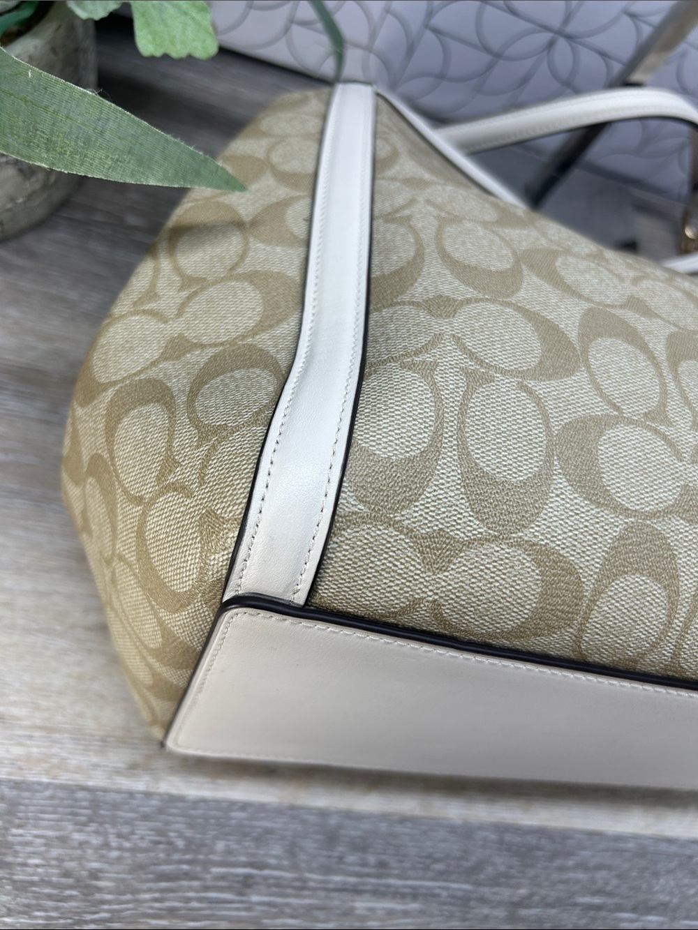 Coach Cream Signature Canvas Tote Bag - Picture 11 of 14